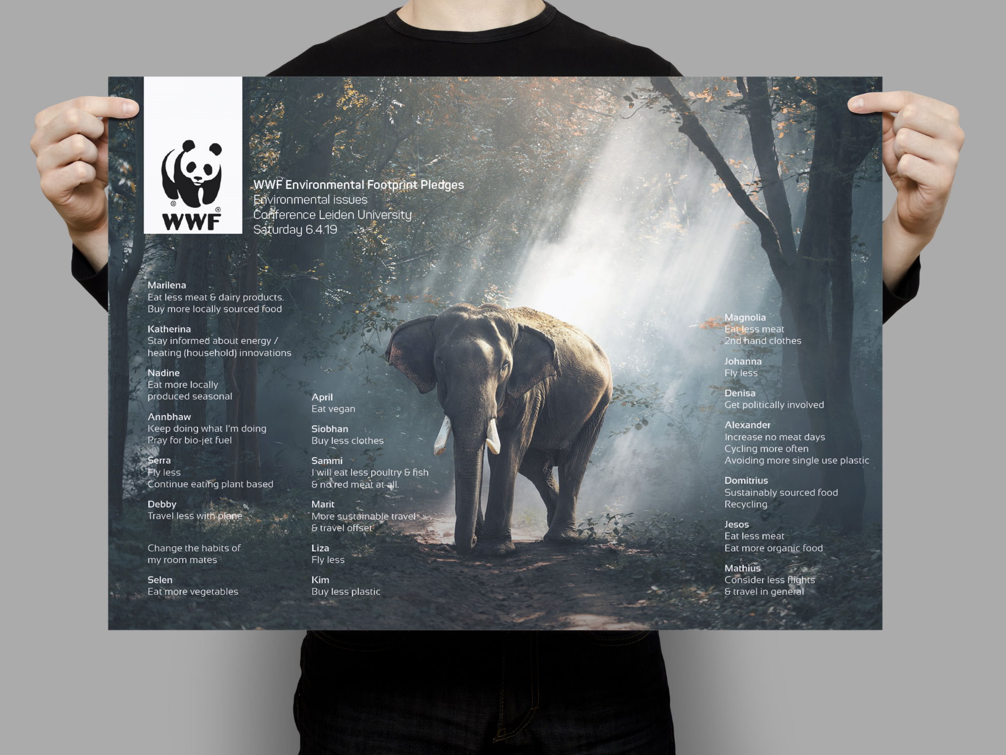 WWF <small>Presented By: Studio98.nl</small>