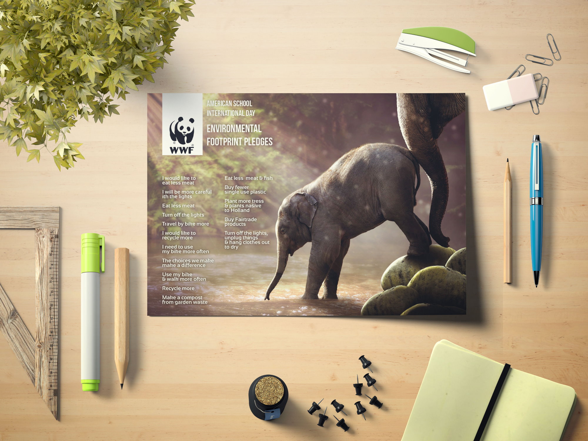 WWF <small>Presented By: Studio98.nl</small>