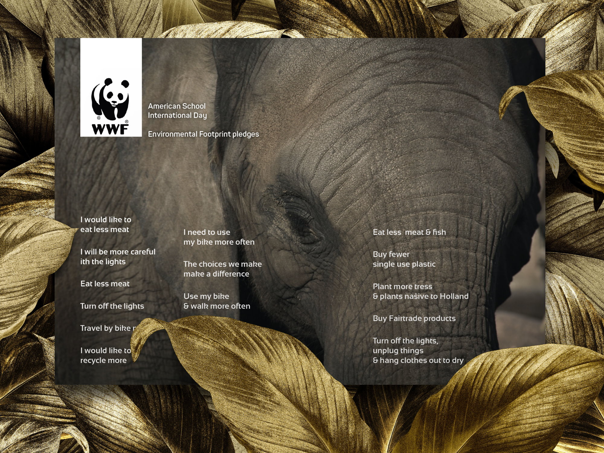 WWF <small>Presented By: Studio98.nl</small>